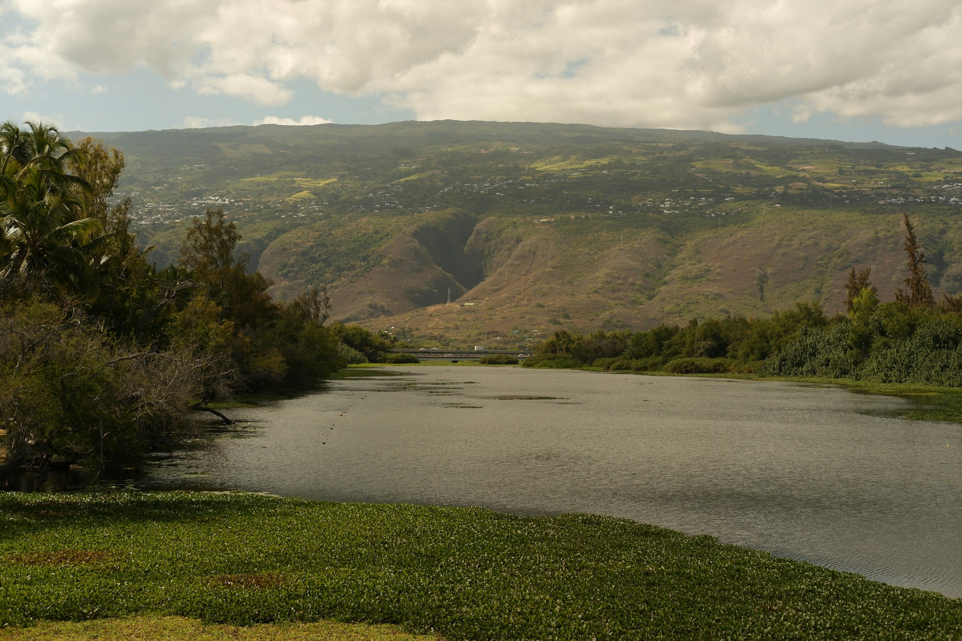 a body of water surrounded by a lush green hillside